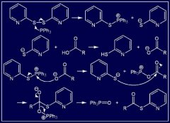你知道肽的制取方式有哪些么？
